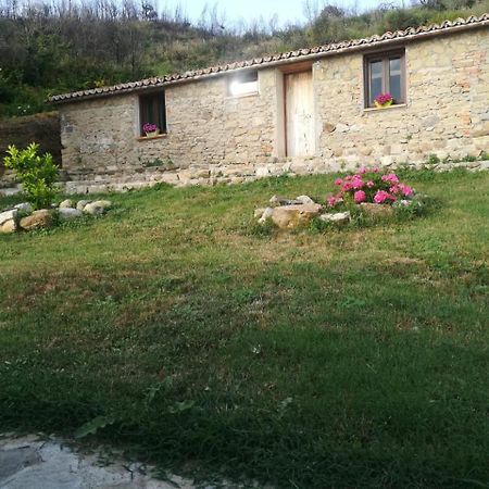 Il Cerro Agriturismo Zagarese Fuscaldo Ngoại thất bức ảnh